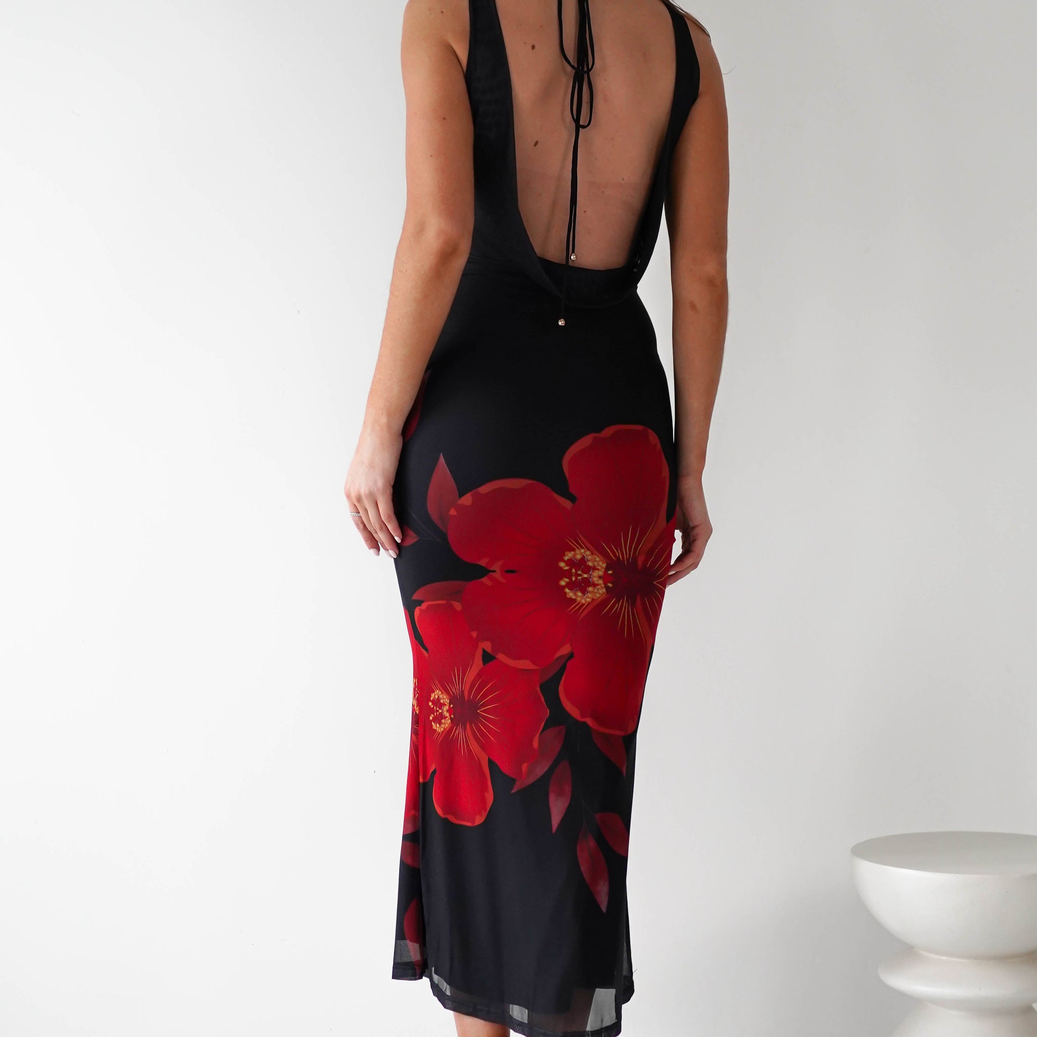 Meadow Mesh Maxi Dress | Black/Red