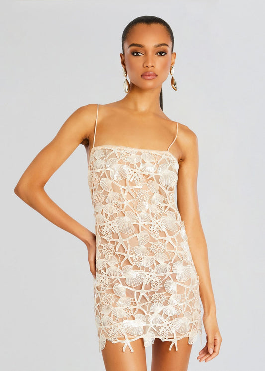 Holiday Sequin Lace Dress
